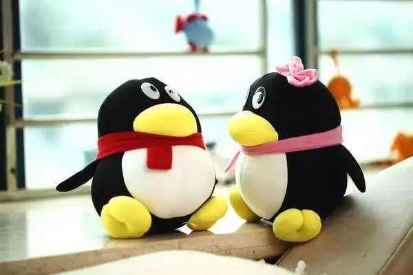 怎么在QQ里加人？